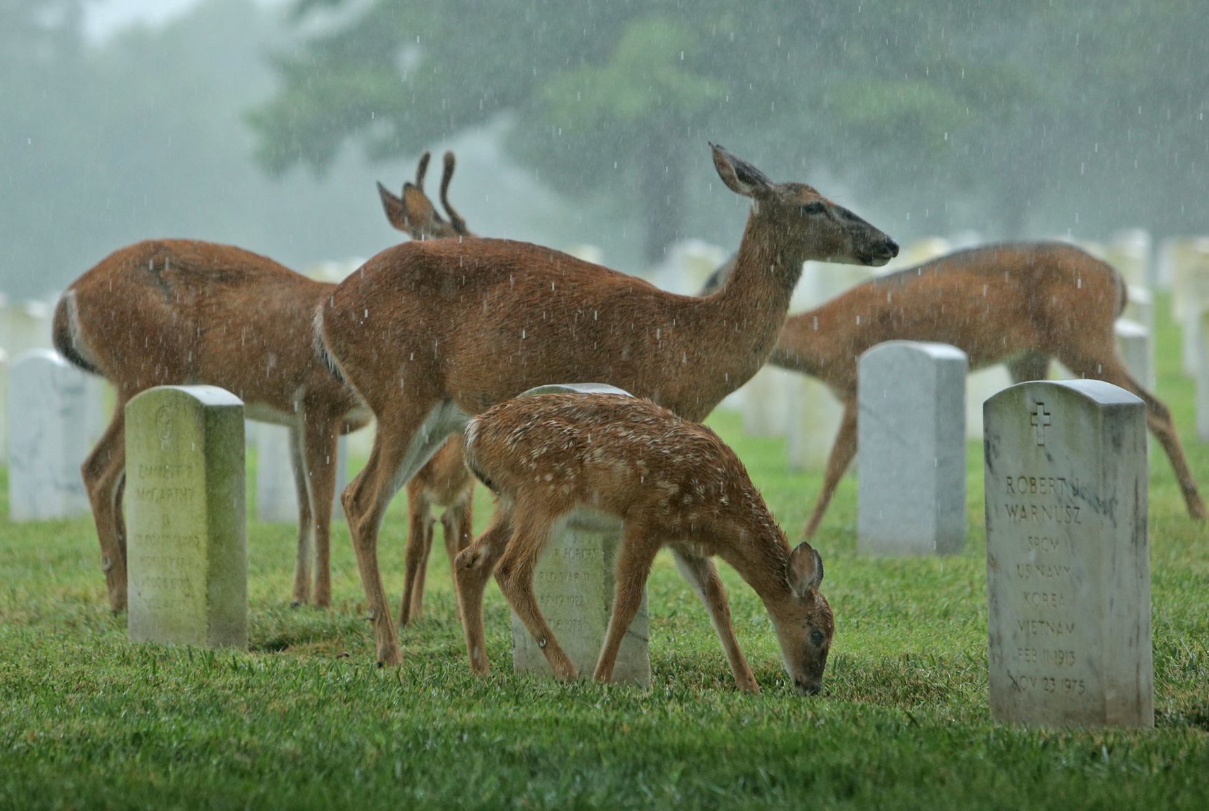 Thirty of JB Forbes's favorite photos from 2019